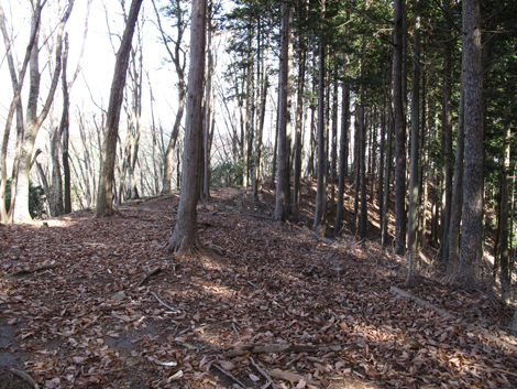 20151116hike (134)